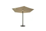 Anamon Parasol
